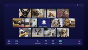The Dogs of OneSignal: Our Remote-First Office Companions The Dogs of OneSignal: Our Remote-First Office Companions