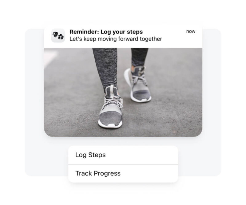 Field guide lost trackers 3